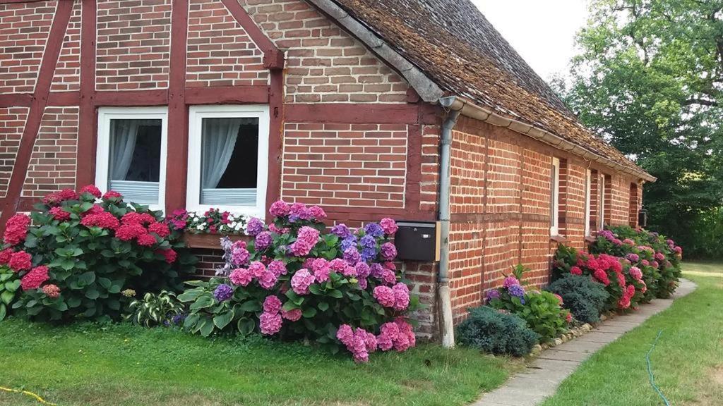 Von Wiegen, Ferienwohnungen Schneverdingen Exterior photo